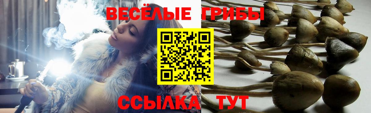 Галлюциногенные грибы MAGIC MUSHROOMS Каменск-Шахтинский